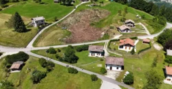 VILLINO DI MONTAGNA SULL’ALTOPIANO DEL TESINO