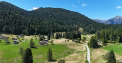 VILLINO DI MONTAGNA SULL’ALTOPIANO DEL TESINO