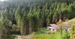 BAITA NEL CUORE DEL LAGORAI