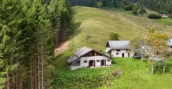 BAITA NEL CUORE DEL LAGORAI