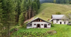 BAITA NEL CUORE DEL LAGORAI