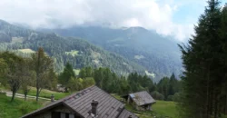 BAITA NEL CUORE DEL LAGORAI