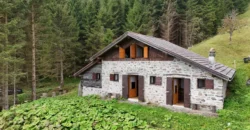 BAITA NEL CUORE DEL LAGORAI