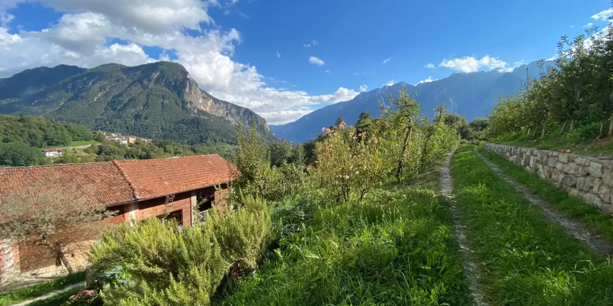 PORZIONE TERRA/CIELO