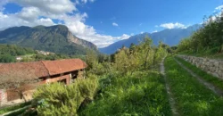 PORZIONE TERRA/CIELO