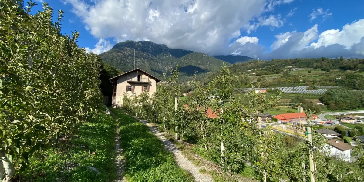 PORZIONE TERRA/CIELO