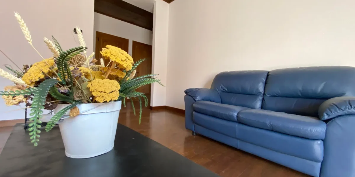 AMPIO APPARTAMENTO QUADRILOCALE