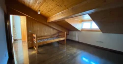 AMPIO APPARTAMENTO QUADRILOCALE