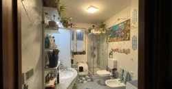 APPARTAMENTO TRE STANZE CON GIARDINO