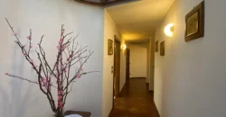 AMPIO APPARTAMENTO QUADRILOCALE