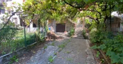 INTERO EDIFICIO TERRA/CIELO