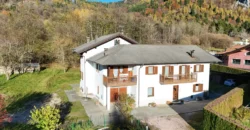 VILLA E ATTIVITA’ AGRICOLA IN UN’UNICA SOLUZIONE