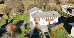 VILLA E ATTIVITA’ AGRICOLA IN UN’UNICA SOLUZIONE