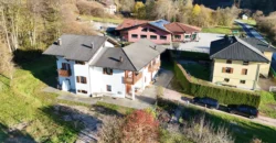 VILLA E ATTIVITA’ AGRICOLA IN UN’UNICA SOLUZIONE