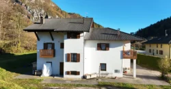 VILLA E ATTIVITA’ AGRICOLA IN UN’UNICA SOLUZIONE