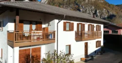 VILLA E ATTIVITA’ AGRICOLA IN UN’UNICA SOLUZIONE