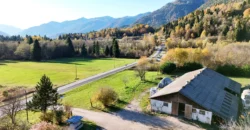 VILLA E ATTIVITA’ AGRICOLA IN UN’UNICA SOLUZIONE