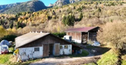 VILLA E ATTIVITA’ AGRICOLA IN UN’UNICA SOLUZIONE