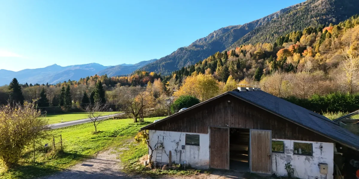VILLA E ATTIVITA’ AGRICOLA IN UN’UNICA SOLUZIONE