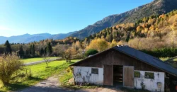 VILLA E ATTIVITA’ AGRICOLA IN UN’UNICA SOLUZIONE