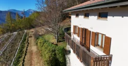 PROPRIETA’ INDIPENDENTE IN ALTA VALSUGANA