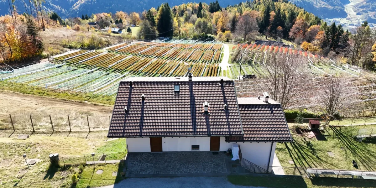 PROPRIETA’ INDIPENDENTE IN ALTA VALSUGANA