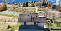 PROPRIETA’ INDIPENDENTE IN ALTA VALSUGANA