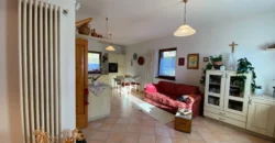 VILLA E ATTIVITA’ AGRICOLA IN UN’UNICA SOLUZIONE