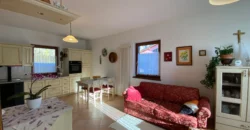 VILLA E ATTIVITA’ AGRICOLA IN UN’UNICA SOLUZIONE