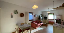 VILLA E ATTIVITA’ AGRICOLA IN UN’UNICA SOLUZIONE