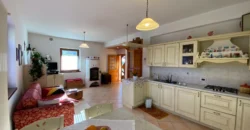 VILLA E ATTIVITA’ AGRICOLA IN UN’UNICA SOLUZIONE