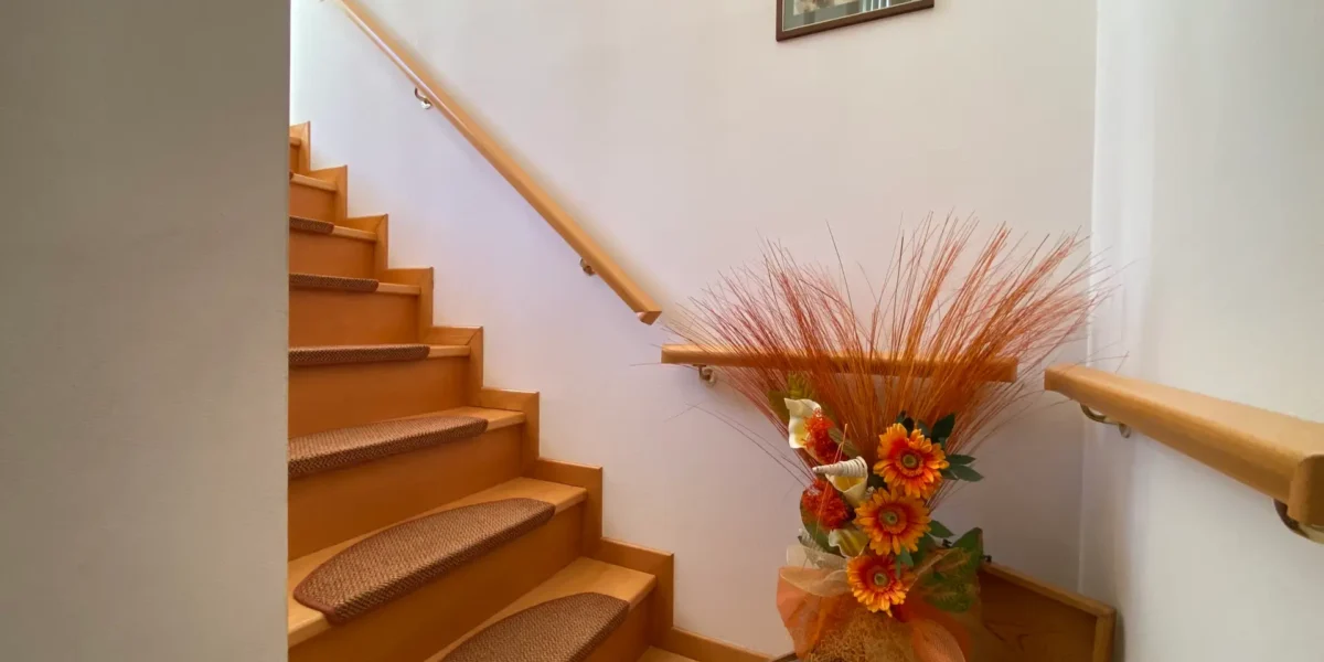 VILLA E ATTIVITA’ AGRICOLA IN UN’UNICA SOLUZIONE