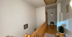 VILLA E ATTIVITA’ AGRICOLA IN UN’UNICA SOLUZIONE