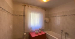 VILLA E ATTIVITA’ AGRICOLA IN UN’UNICA SOLUZIONE