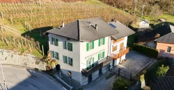 PORZIONE DI CASA TERRA-CIELO