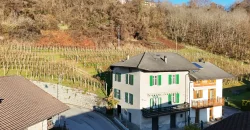 PORZIONE DI CASA TERRA-CIELO