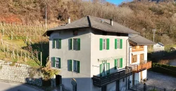 PORZIONE DI CASA TERRA-CIELO