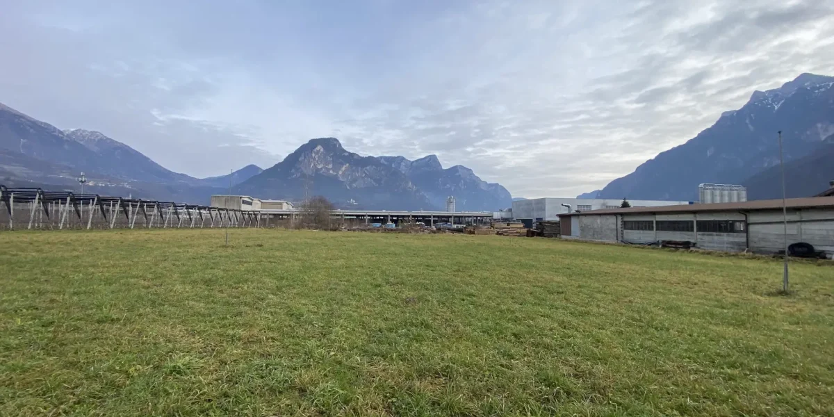 TERRENO INDUSTRIALE