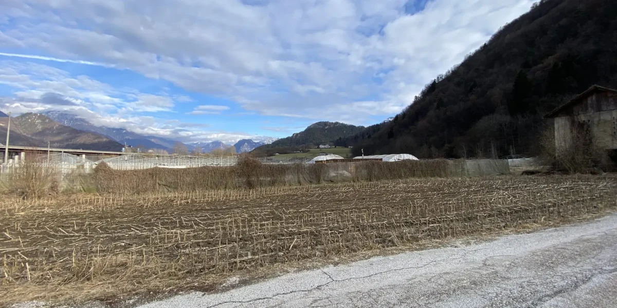 PORZIONE DI CASA TERRA-CIELO