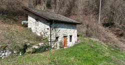 RUSTICO/DEPOSITO CON AMPIO TERRENO