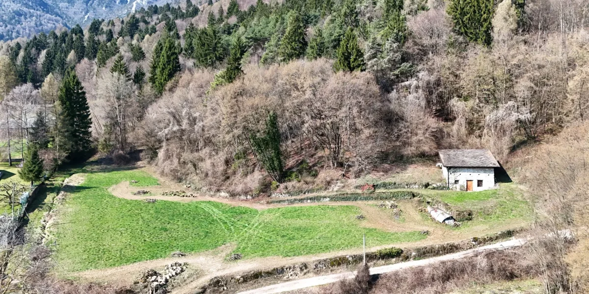 RUSTICO/DEPOSITO CON AMPIO TERRENO