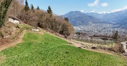 RUSTICO/DEPOSITO CON AMPIO TERRENO