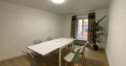 SPAZIOSO APPARTAMENTO NEL CENTRO STORICO