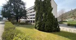 SPAZIOSO APPARTAMENTO TRE STANZE