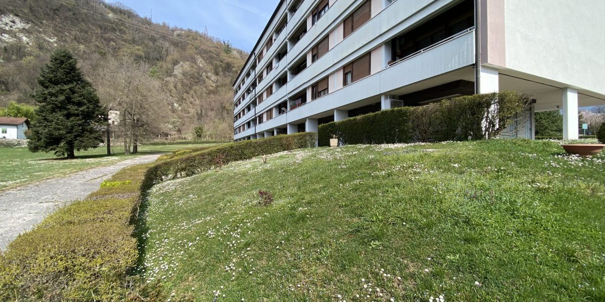 SPAZIOSO APPARTAMENTO TRE STANZE