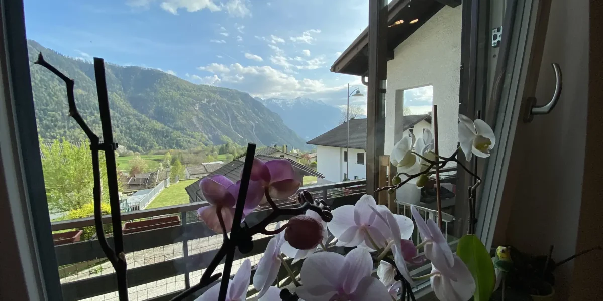 VILLETTA BIFAMILIARE CON GIARDINO