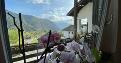 VILLETTA BIFAMILIARE CON GIARDINO