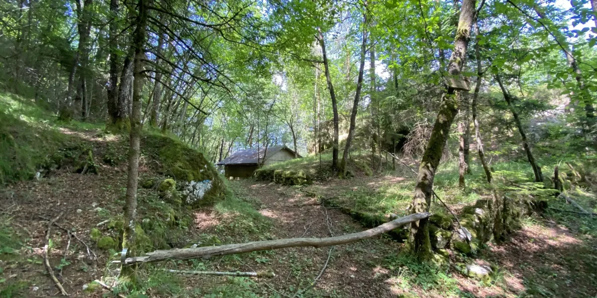 RUSTICO