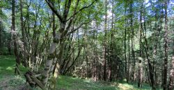 RUSTICO