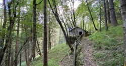 RUSTICO